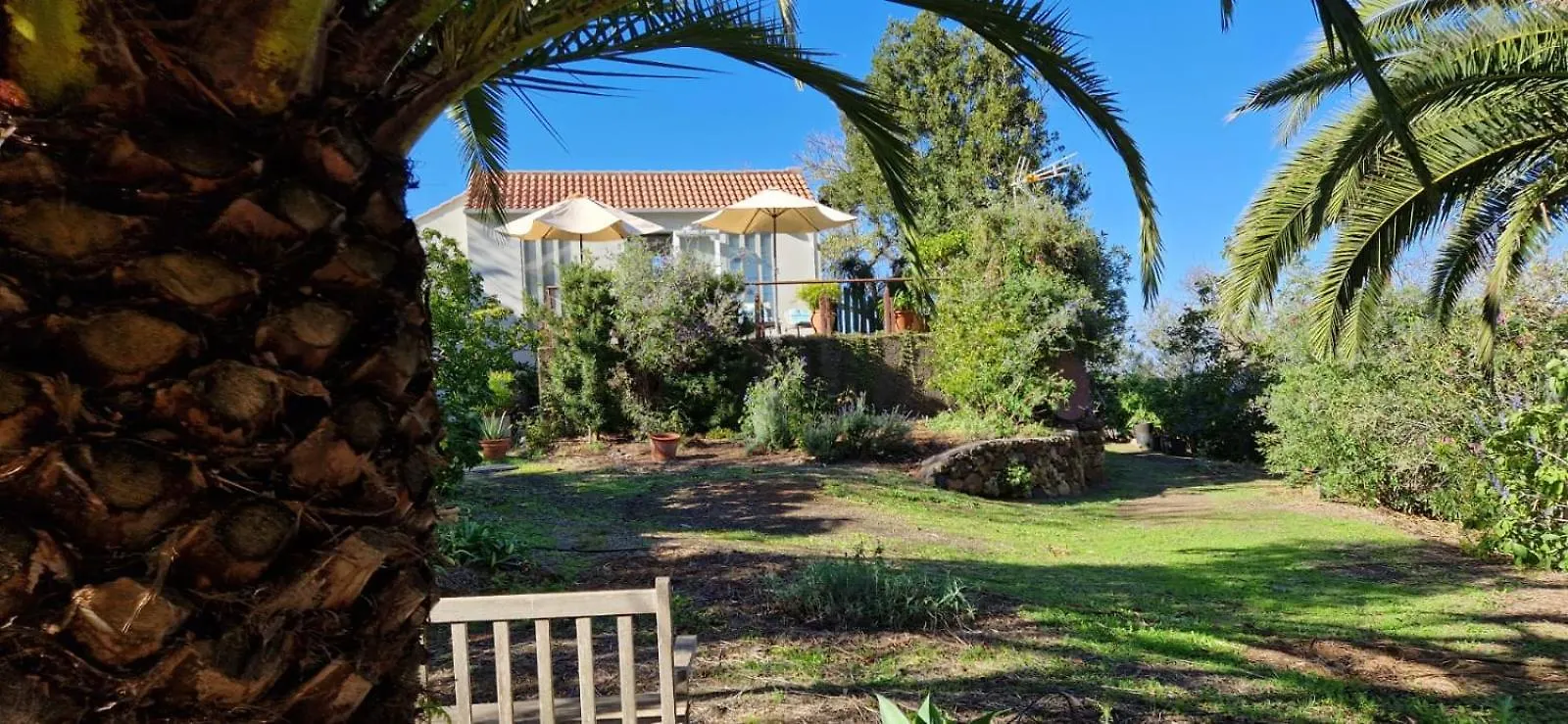 Villa Almendro Puntagorda Ferienhaus